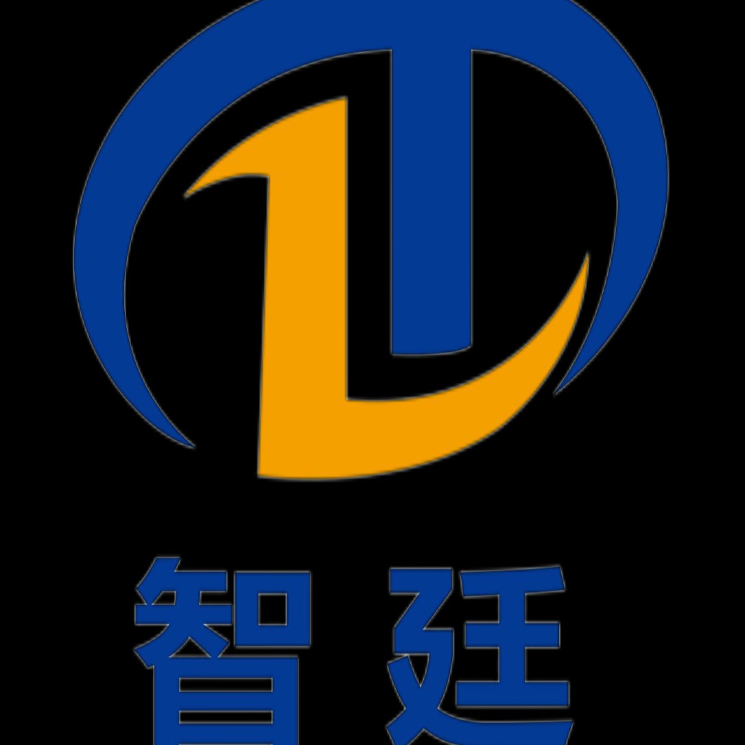 浙江智廷信息科技有限公司 - 公司logo