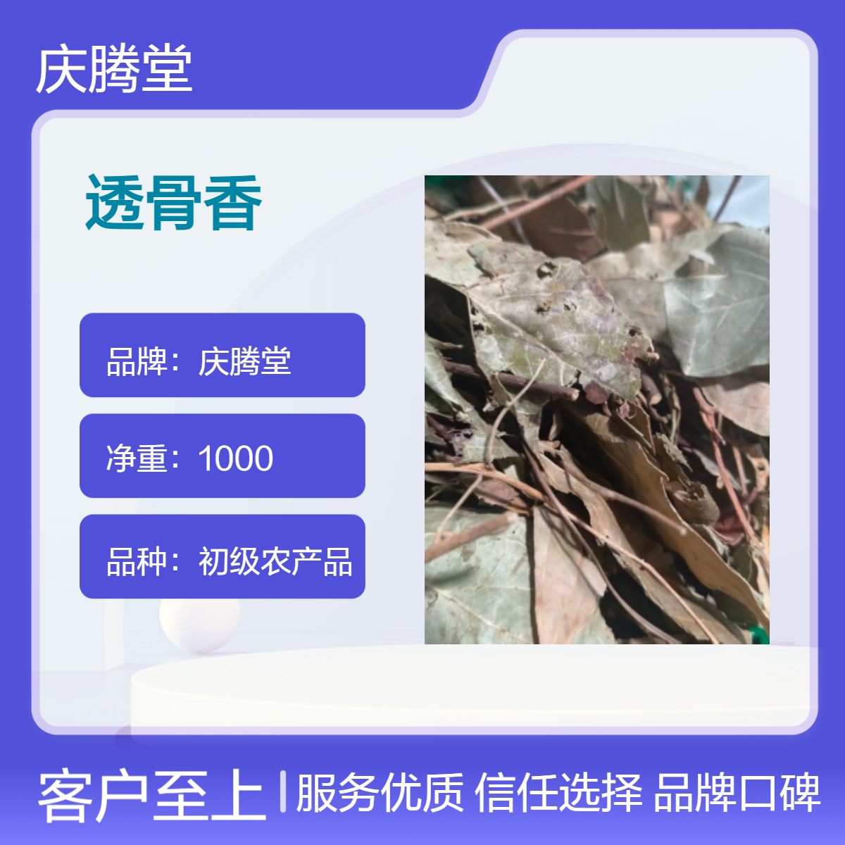 庆腾堂 批发 透骨香 满山香 搜山虎 新货 干净 1000g 原形态