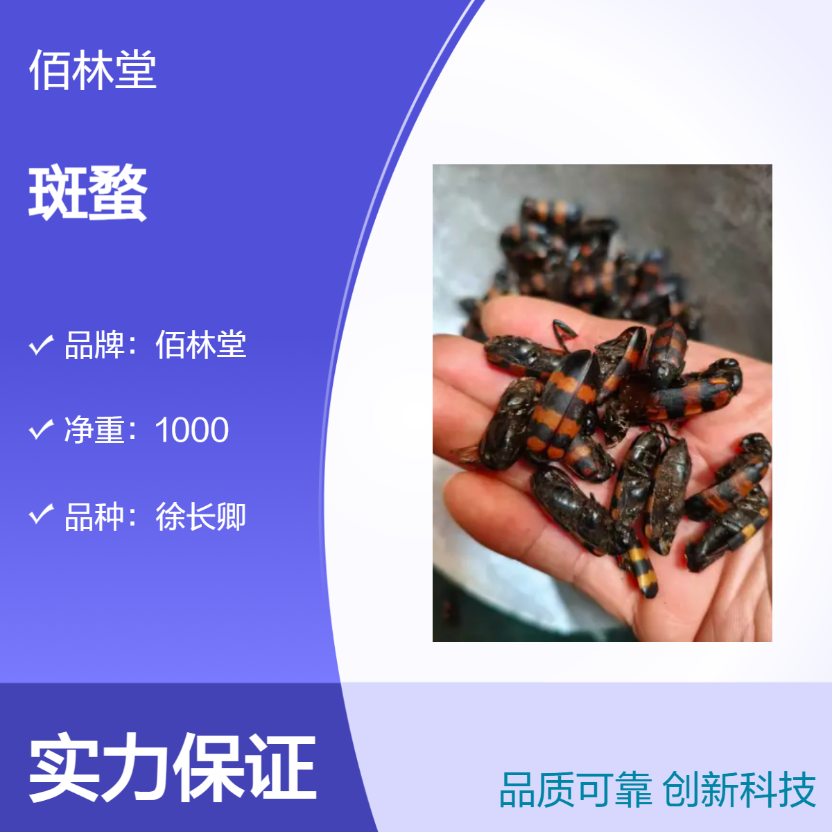 佰林堂一级斑蝥 徐长卿品种 初级农产品 阴凉干燥储存