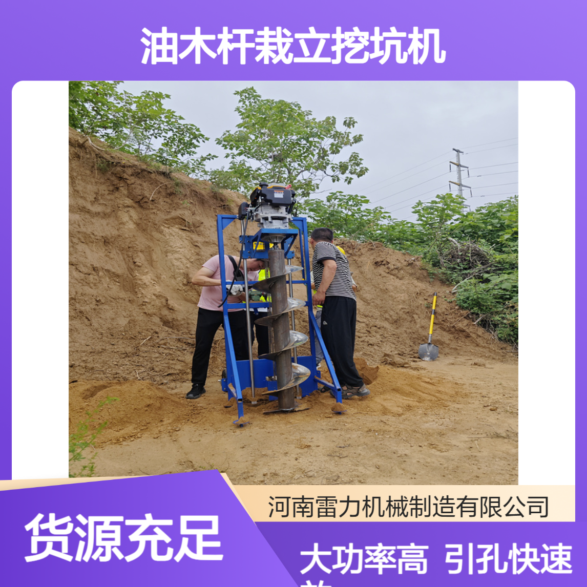 油木杆栽立挖坑机 线杆搭网安装打洞机 雷力 大功率引孔快