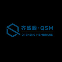 山东齐盛膜分离技术有限公司 - 公司logo