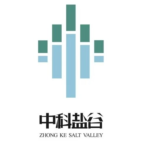 Zhongke Salt Valley Technology Co., Ltd - Company Logo