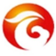 苏州莱吉瑞信息科技有限公司 - 公司logo