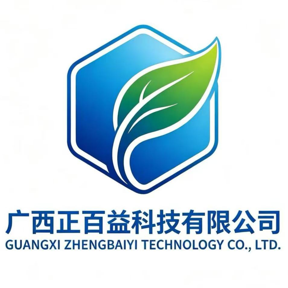 Guangxi Zhengbaiyi Technology Co., Ltd - Company Logo