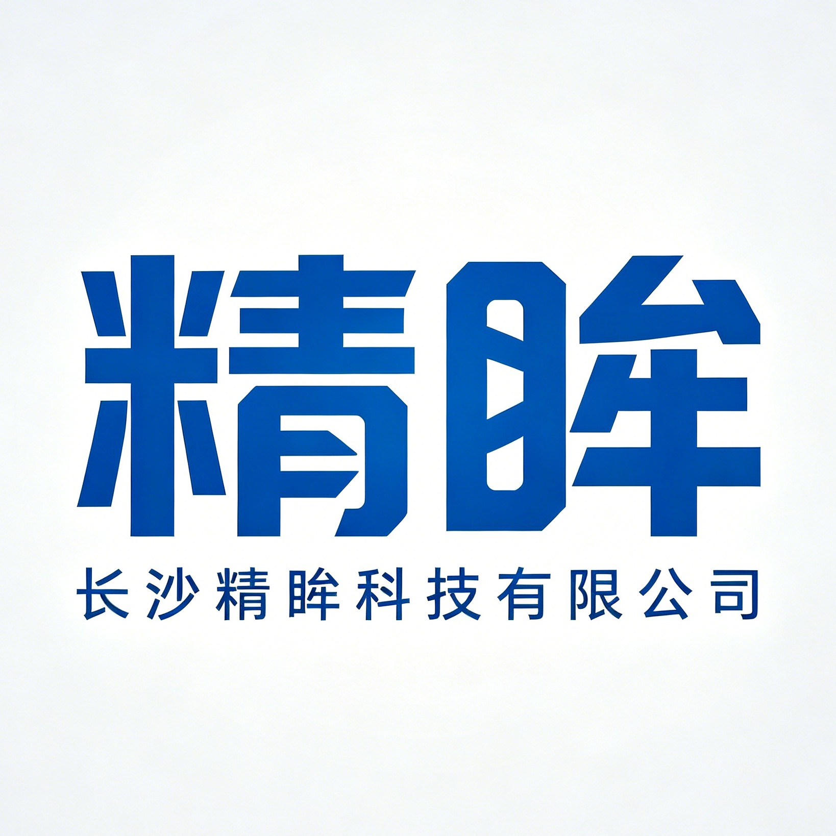 长沙精眸科技有限公司 - 公司logo