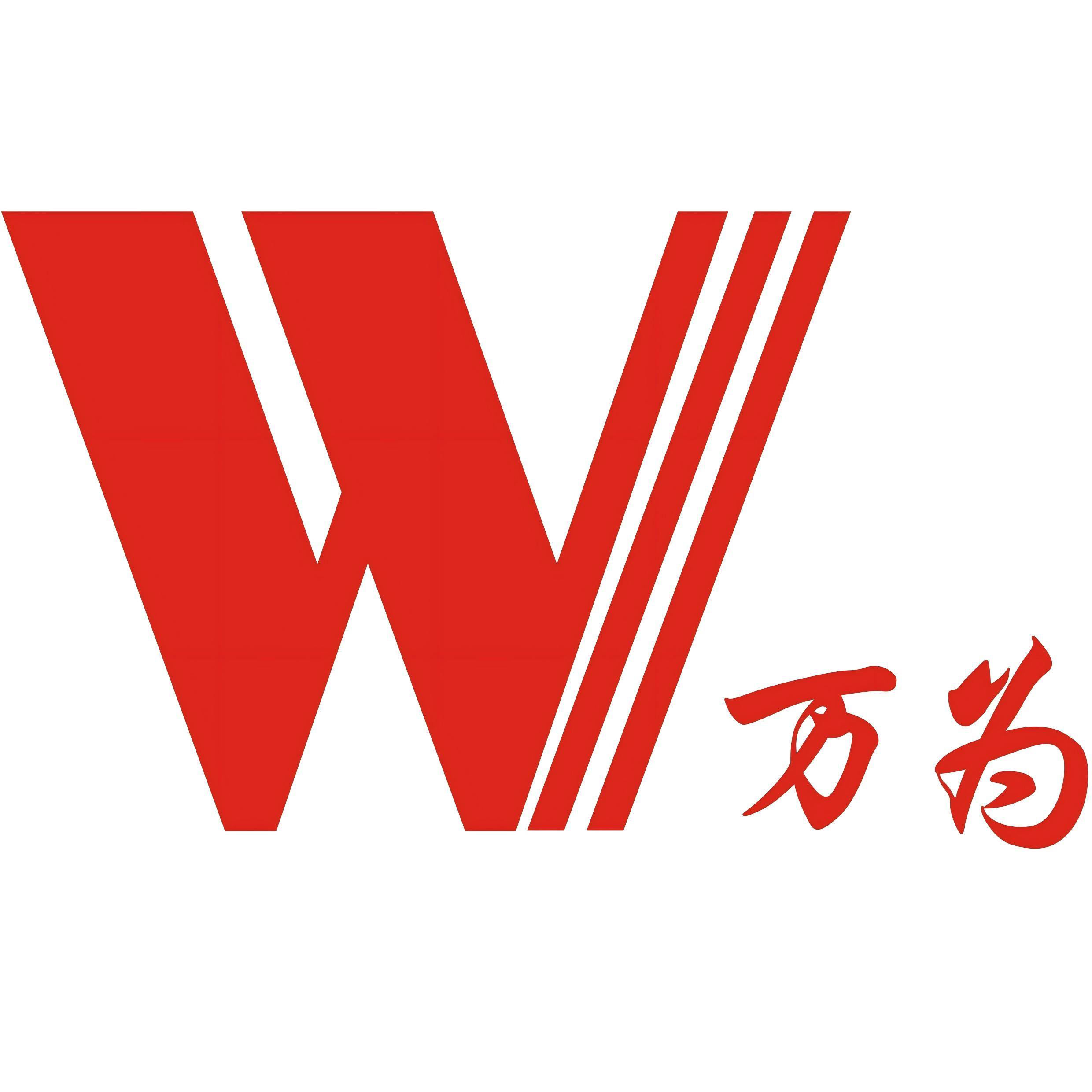 广东万为控制技术有限公司 - 公司logo