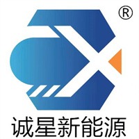 山东诚星新能源科技有限公司