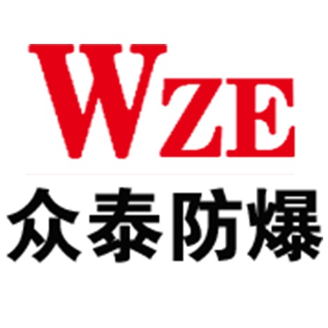 Shandong Zotye Explosion proof Motor Co., Ltd - Company Logo
