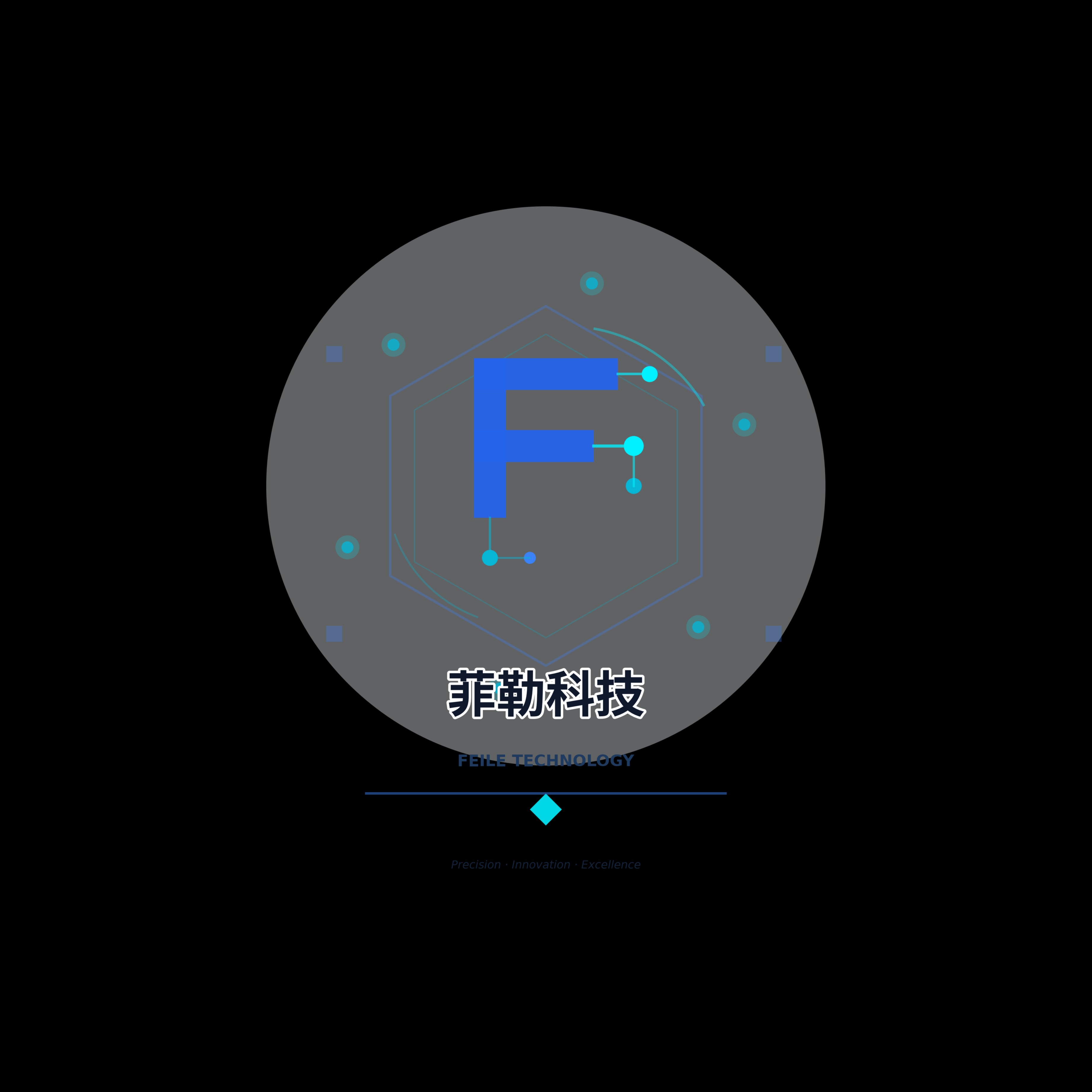 阜阳菲勒科技有限公司