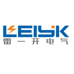 浙江雷一电气有限公司