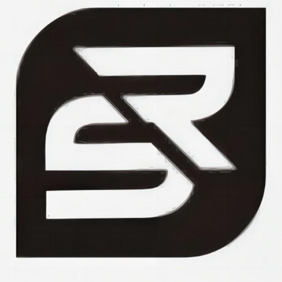 Wugang Shengrun Steel Sales Co., Ltd - Company Logo
