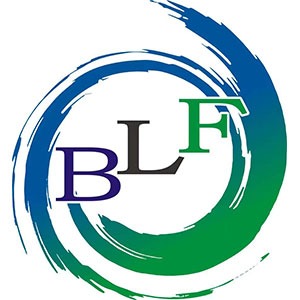 Shenzhen Baolifeng Precision Technology Development Co., Ltd - Company Logo
