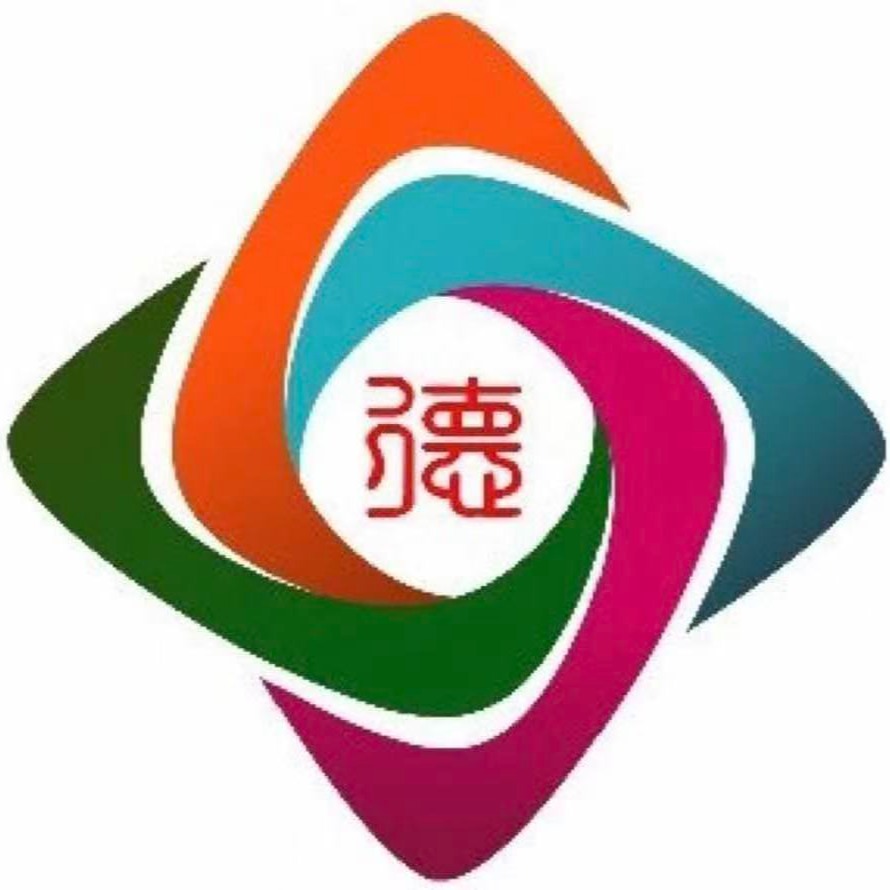 Chongqing Deyuansheng Instrument Co., Ltd - Company Logo