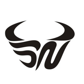 深圳冰牛物联网科技有限公司 - 公司logo