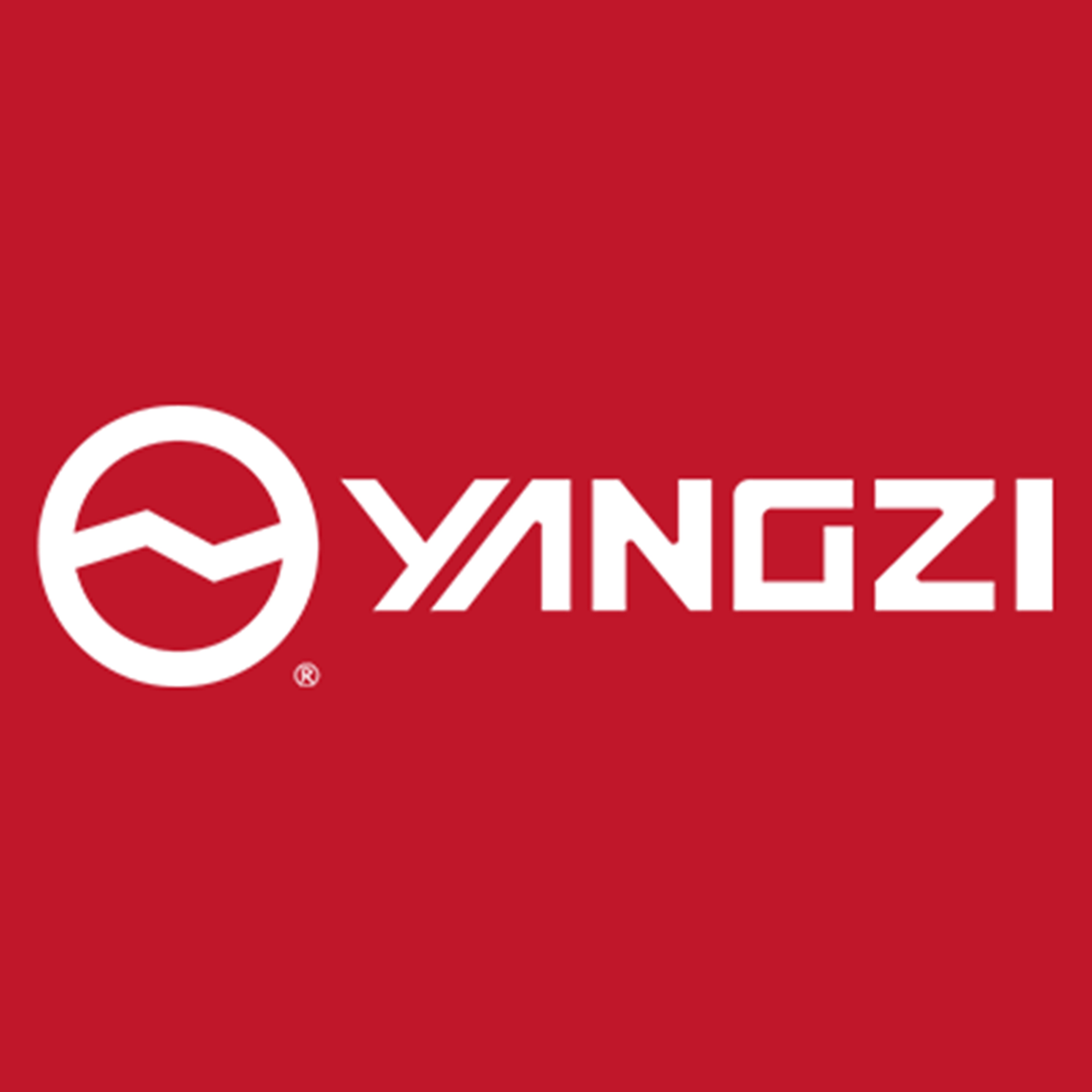 Anhui Yangtze Intelligent Manufacturing Co., Ltd. Hefei Branch - Company Logo