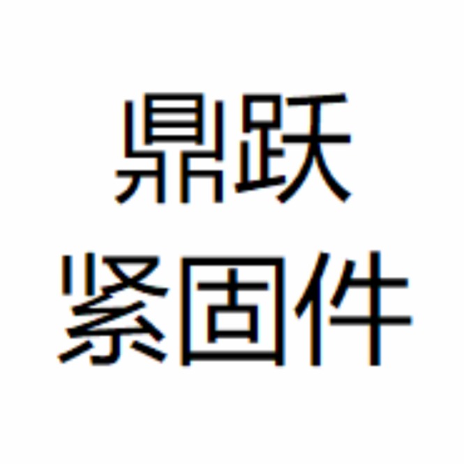 Handan Dingyue Fastener Manufacturing Co., Ltd - Company Logo