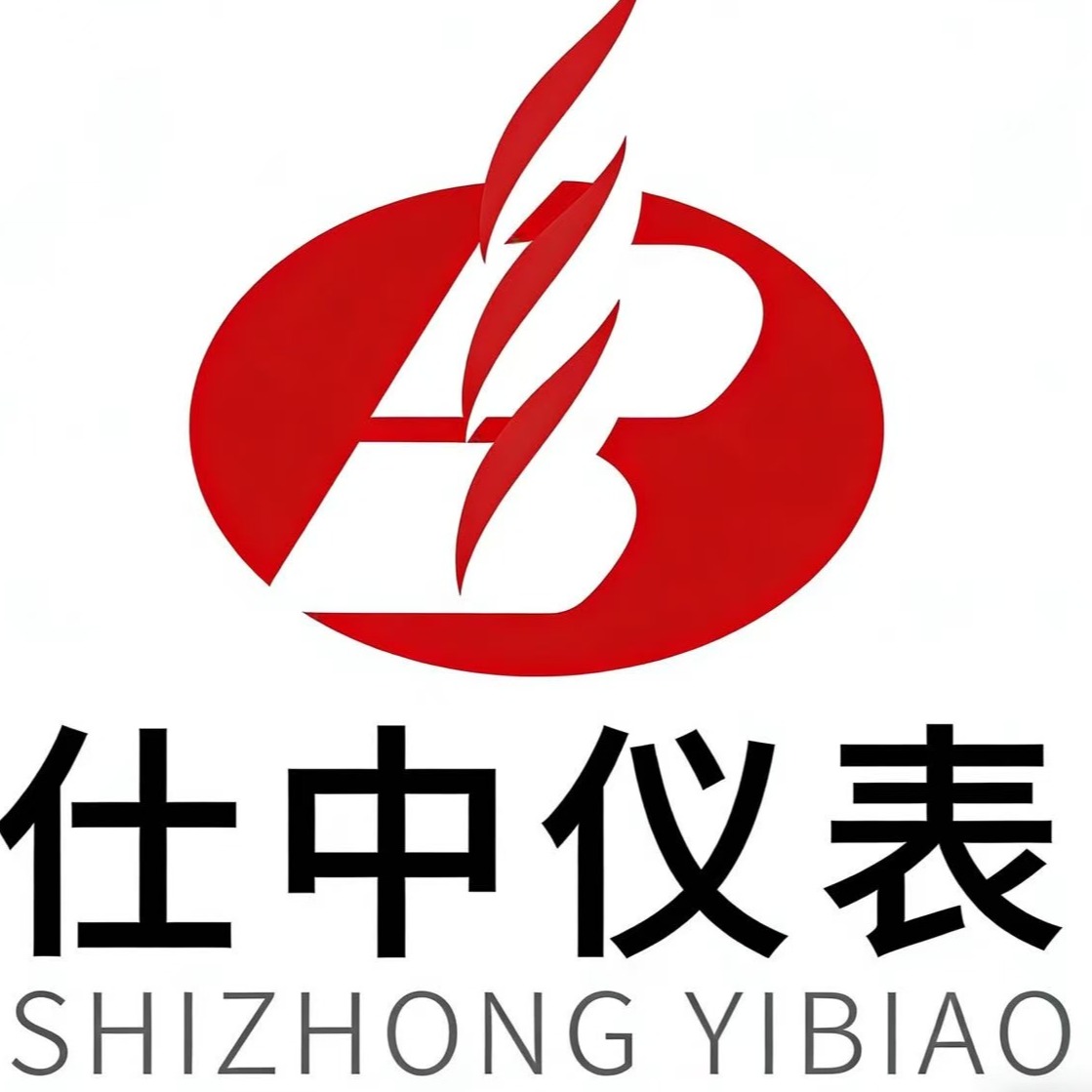 济南仕中自动化仪表有限公司 - 公司logo