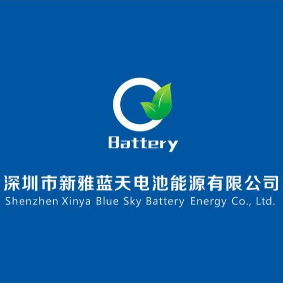 Shenzhen Xinya Blue Sky Battery Energy Co., Ltd - Company Logo