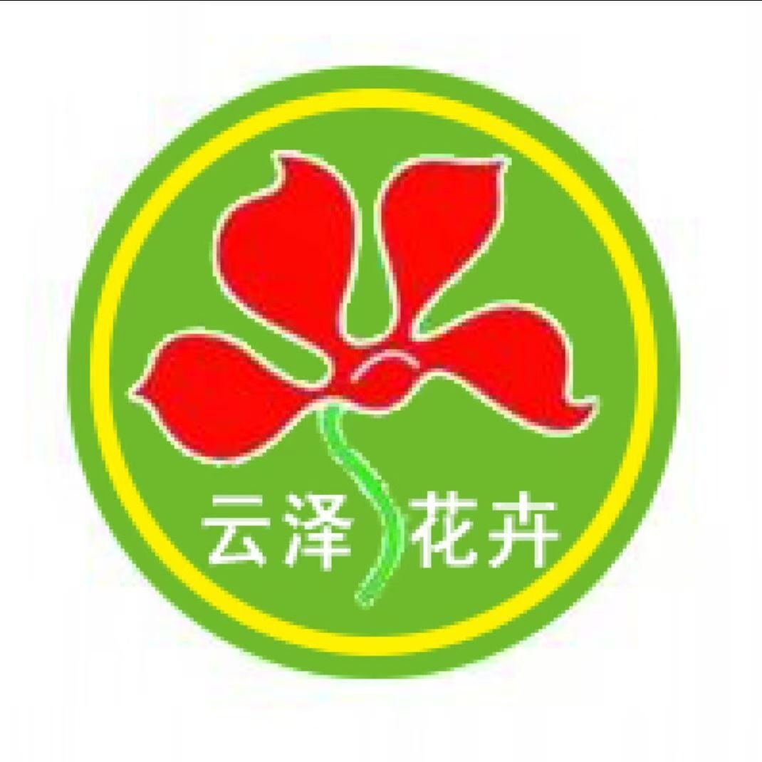 青州市云泽花卉苗木专业合作社